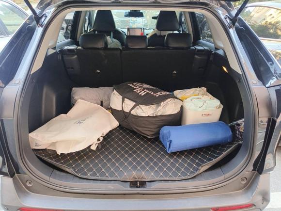 [上海·沪E] 二手丰田RAV4荣放2021款 2.0L CVT两驱都市版