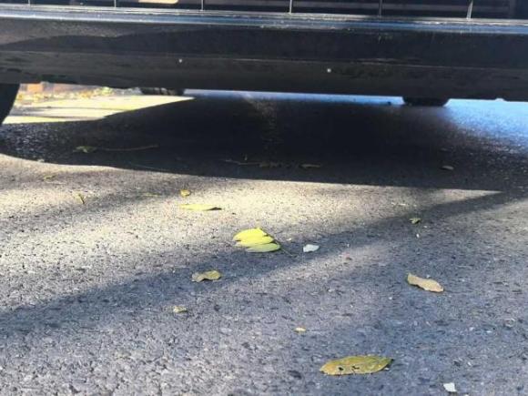 [北京·辽C] 二手奥迪奥迪A4L2022款 40 TFSI 豪华动感型