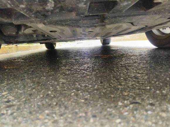 [青岛·鲁U] 二手本田雅阁2018款 260TURBO 精英版 国VI