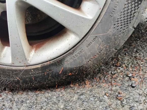 [上海·苏J] 二手斯柯达明锐2014款 1.6L 自动逸俊版