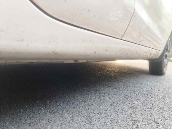 [上海·浙B] 二手长安长安奔奔E-Star2021款 国民版 多彩款 磷酸铁锂（31.86kWh）