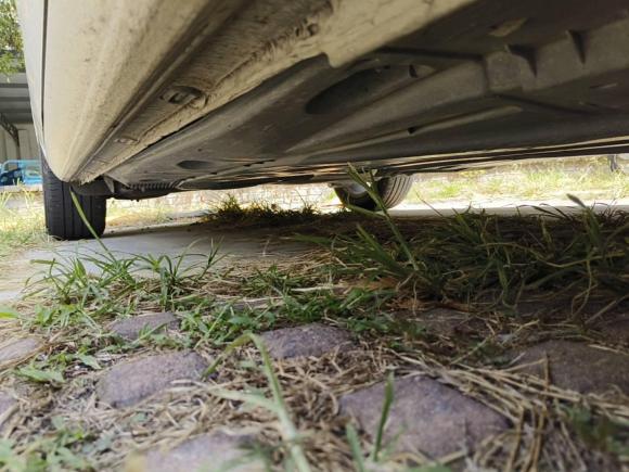 [宁波·浙B] 二手大众高尔夫2014款 1.4TSI 自动舒适型