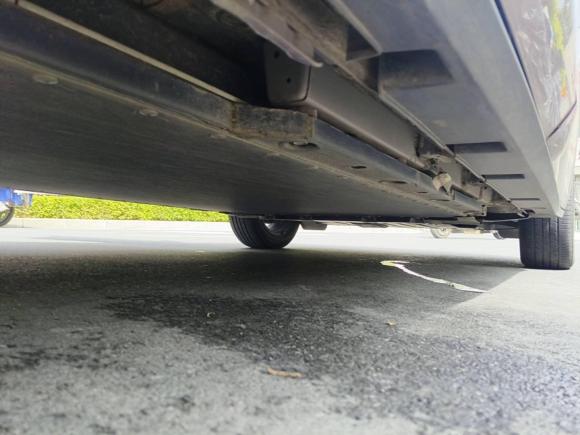 [广州·粤A] 二手比亚迪海豚2023款 420km 时尚版