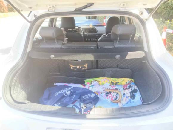 [上海·沪A] 二手欧拉欧拉好猫2021款 400km标准续航 雅典娜版 磷酸铁锂