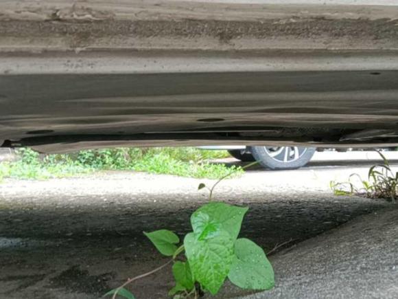 [宁波·贵J] 二手大众朗逸2022款 280TSI DSG舒适版