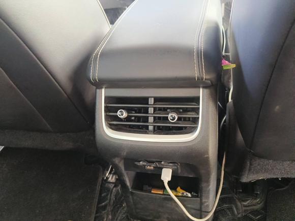 [武汉·鄂A] 二手坦克坦克3002021款 越野版 2.0T 挑战者