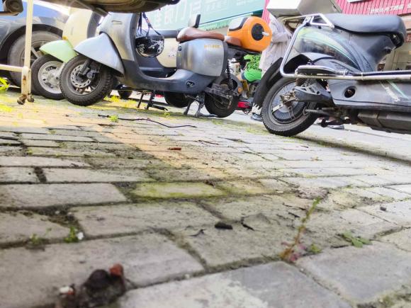 [杭州·浙A] 二手五菱汽车五菱荣光新卡2018款 1.8L单排LJ479QE2