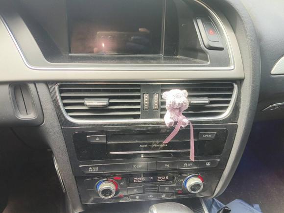 [广州·川S] 二手奥迪奥迪A4L2013款 40 TFSI quattro运动型