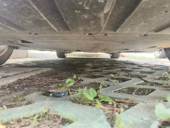 [嘉兴·浙F] 二手沃尔沃沃尔沃S902019款 T5 智逸版