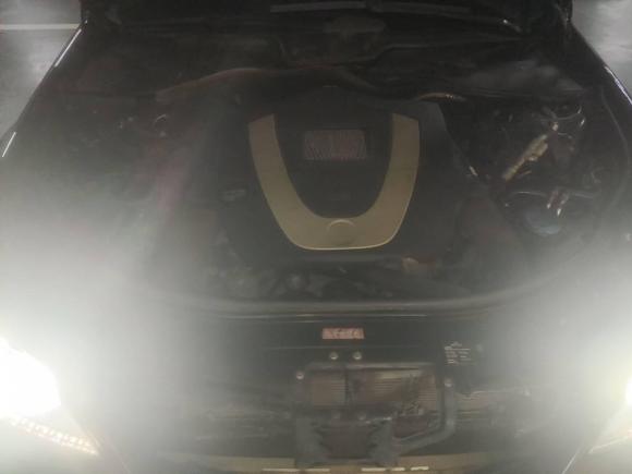 [青岛·鲁B] 二手奔驰奔驰S级2010款 S 400 L HYBRID