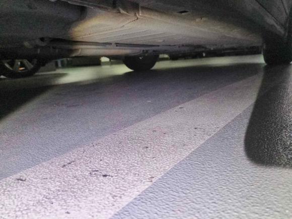 [杭州·浙A] 二手日产轩逸2009款 2.0XL CVT豪华版