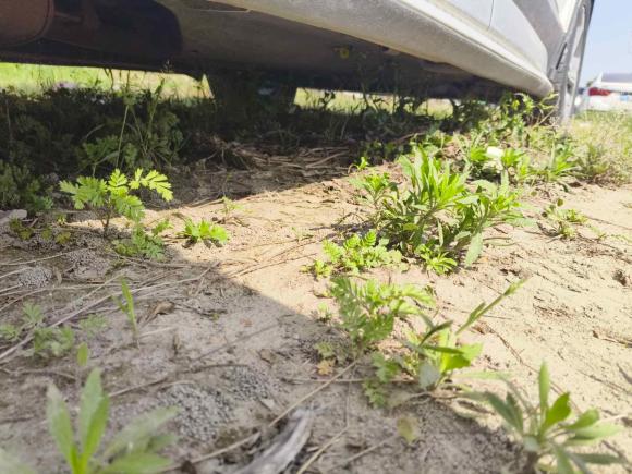 [杭州·浙D] 二手现代胜达2019款 380 TGDi DLX 自动两驱智尊版PLUS 国V