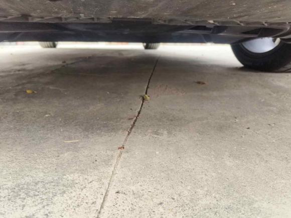 [上海·沪D] 二手斯柯达明锐2021款 PRO TSI280 DSG旗舰版