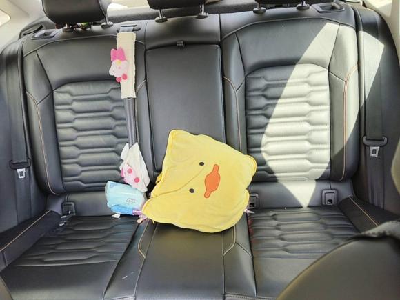 [芜湖·皖B] 二手大众帕萨特2019款 330TSI 精英版 国V