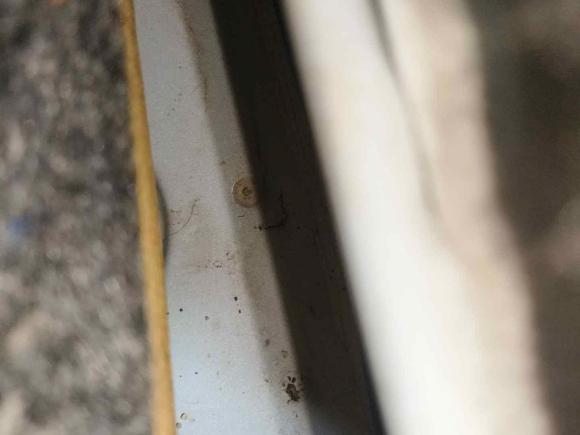 [成都·川A] 二手长安逸动新能源2019款 EV460 智享版