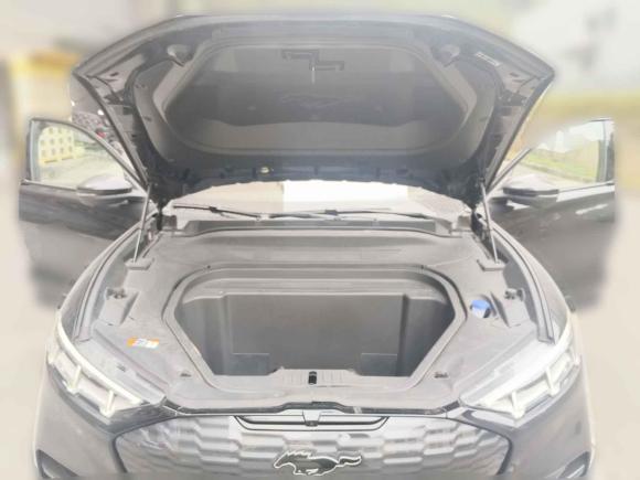 [广州·粤A] 二手福特福特电马2021款 GT