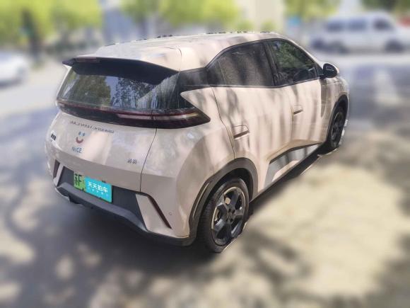 [上海·苏F] 二手比亚迪海鸥2024款 荣耀版 305km 自由版