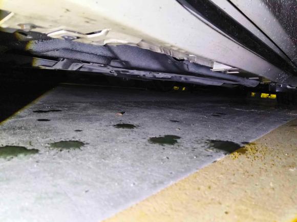 [广州·粤A] 二手英菲尼迪英菲尼迪Q50L2018款 2.0T 进享版 国VI