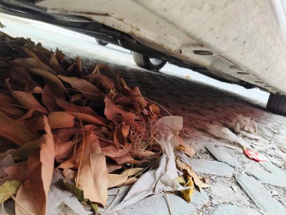 [上海·豫S] 二手奇瑞艾瑞泽5 PLUS2021款 小AI 1.5T 手动型PLUS