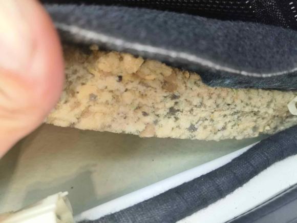 [广州·粤A] 二手比亚迪秦新能源2017款 1.5T 尊贵型