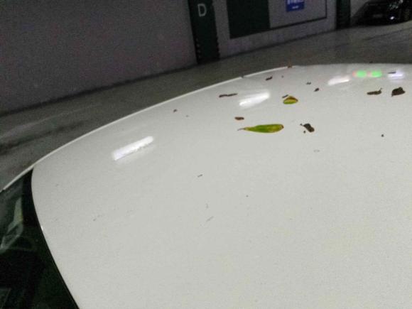 [杭州·浙C] 二手大众宝来2019款 宝来·传奇 1.5L 自动时尚型 国VI