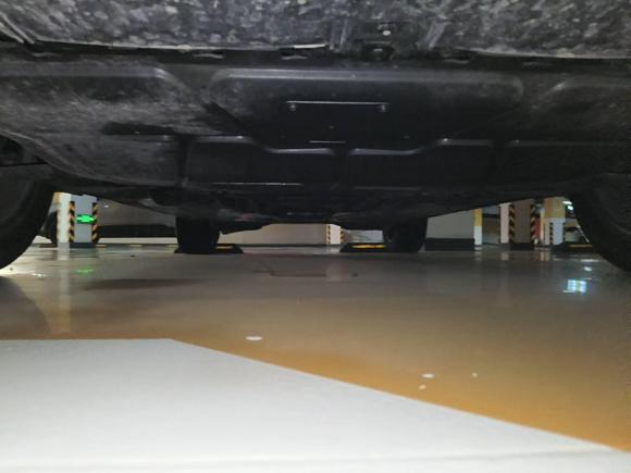 [济南·鲁A] 二手大众T-ROC探歌2024款 300TSI DSG两驱星光版