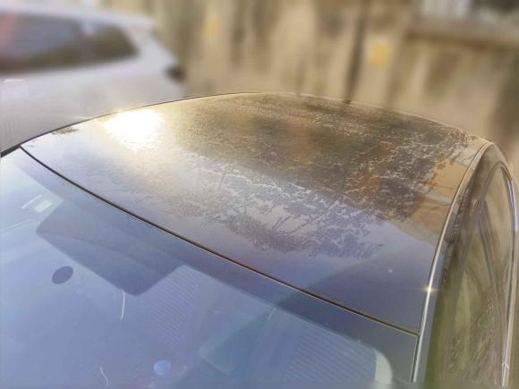 [合肥·皖A] 二手斯柯达明锐2017款 1.6L 手动创行版