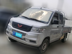 [南通·苏F]五菱汽车&nbsp;&nbsp;五菱荣光新卡&nbsp;&nbsp;2023款 2.0L双排加长版标准型LJM20B