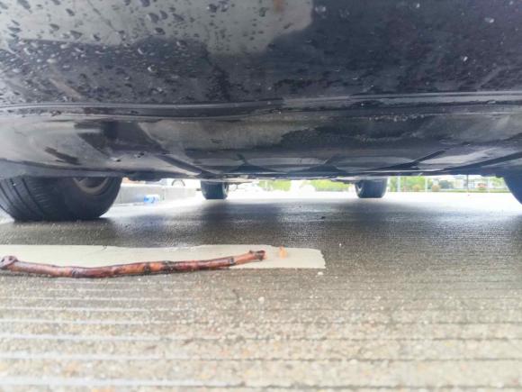 [上海·苏E] 二手奥迪奥迪A6L2011款 2.0 TFSI 自动标准型