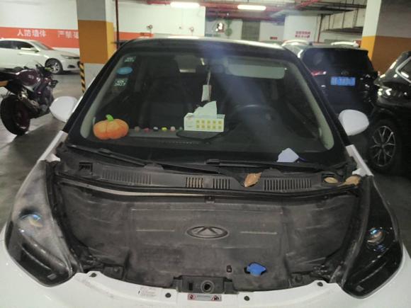 [苏州·苏E] 二手奇瑞新能源小蚂蚁2019款 4座智享版 30.6kWh