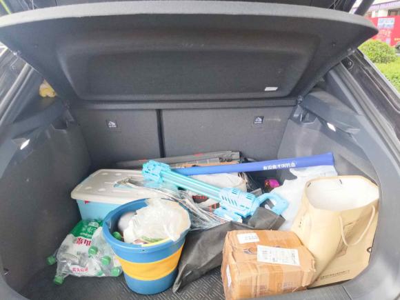 [常州·苏D] 二手大众ID.4 CROZZ2024款 纯享限量版