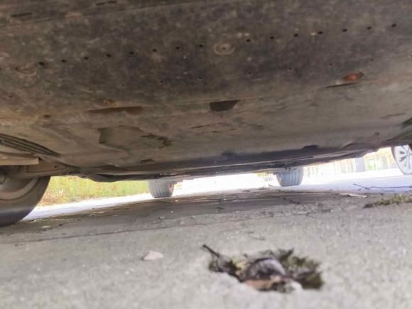 [无锡·苏B] 二手奥迪奥迪A6L2012款 TFSI 标准型