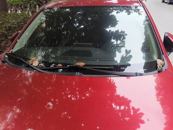 [上海·沪A] 二手马自达阿特兹2017款 2.5L 蓝天尊崇版