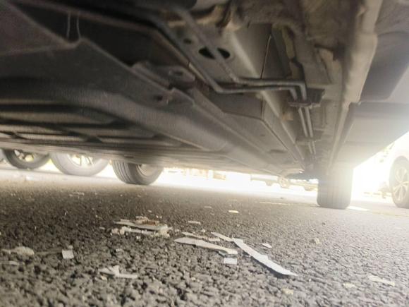 [深圳·粤B] 二手比亚迪海豚2023款 420km 自由版