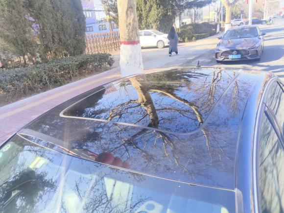 [青岛·鲁B] 二手奥迪奥迪A6L2014款 30 FSI 舒适型