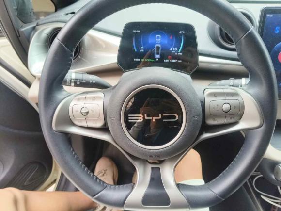 [上海·沪A] 二手比亚迪海豚2023款 420km 时尚版