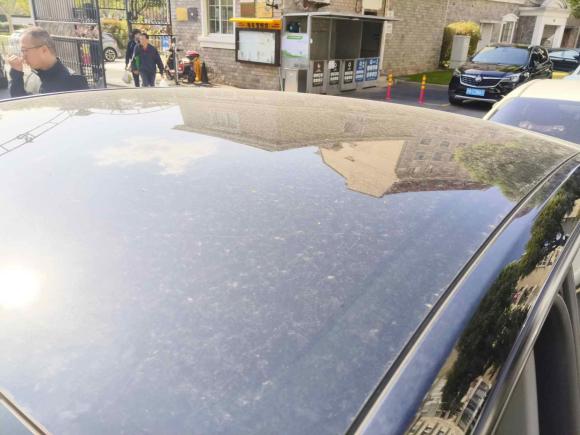 [上海·沪A] 二手特斯拉Model Y2023款 后轮驱动版