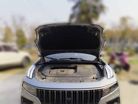 [合肥·皖A] 二手领克领克09新能源2021款 2.0T PHEV Halo 六座