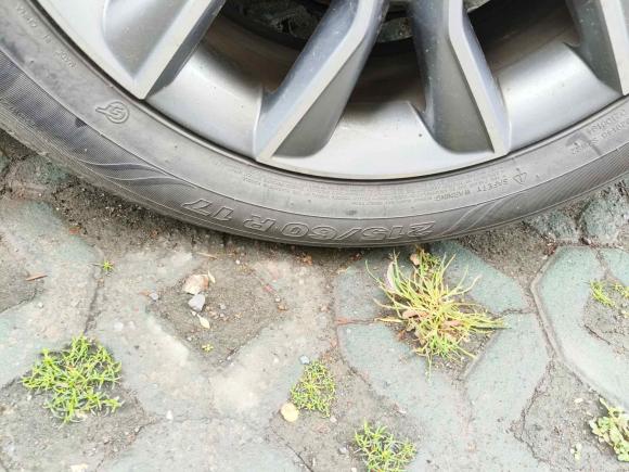 [上海·沪C] 二手名爵名爵HS2018款 20T 手动两驱荷尔蒙劲取版 国V