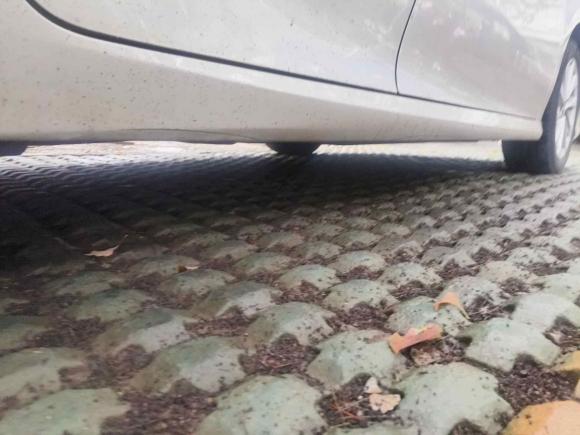 [苏州·苏U] 二手丰田凯美瑞2021款 2.0G 豪华版