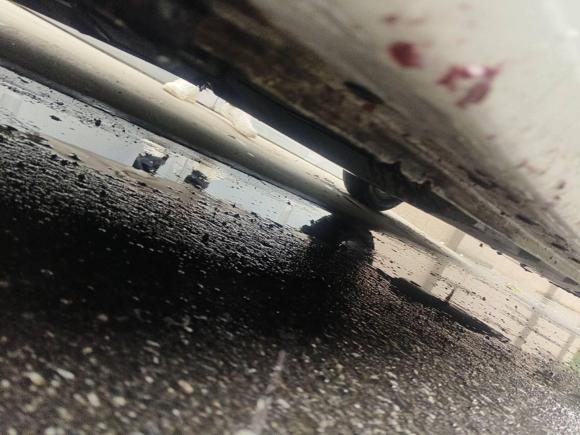 [嘉兴·浙F] 二手日产轩逸2021款 1.6L XL CVT悦享版