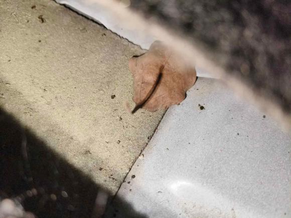 [宁波·浙B] 二手荣威荣威3602015款 1.5L 自动豪华版