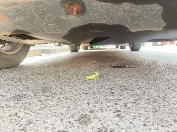 [青岛·鲁B] 二手丰田丰田RAV42006款 2.4 豪华型