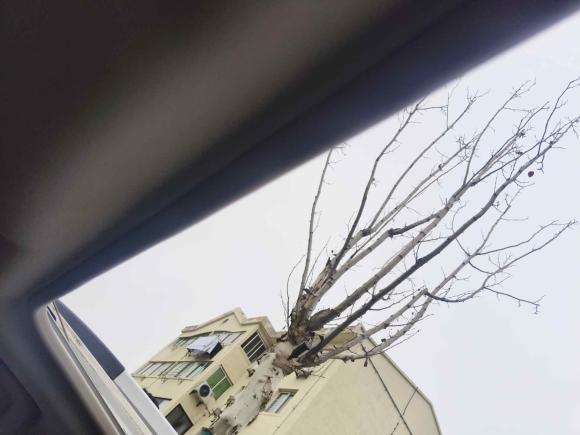 [西安·陕A] 二手长安长安CS352017款 1.6L 手动豪华型