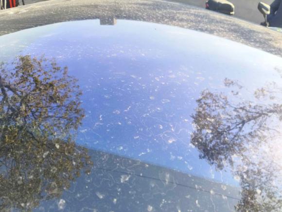 [上海·苏E] 二手零跑汽车零跑C012024款 纯电 525尊享版