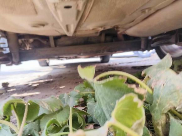 [嘉兴·浙F] 二手现代朗动2012款 1.6L 手动领先型