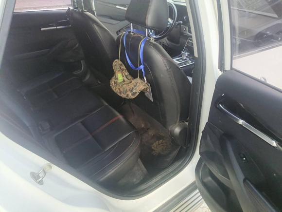 [嘉兴·浙F] 二手起亚KX3傲跑2020款 1.5L CVT潮流版