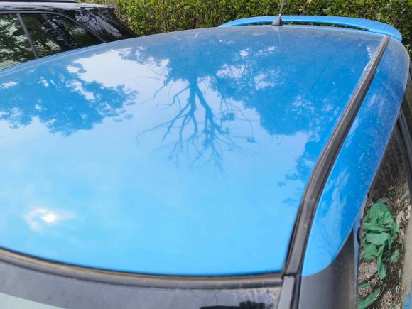 [上海·苏C] 二手铃木雨燕2011款 1.5L 自动运动版