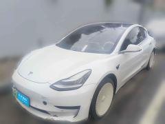 [佛山·粤A] 特斯拉Model 32019款 标准续航后驱升级版