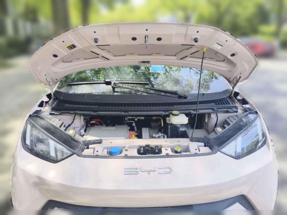 [上海·苏F] 二手比亚迪海鸥2024款 荣耀版 305km 自由版